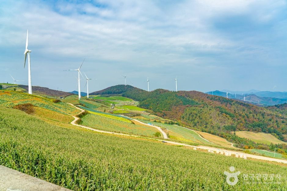 매봉산풍력발전단지(바람의 언덕) 여행 추천 - 로드트립