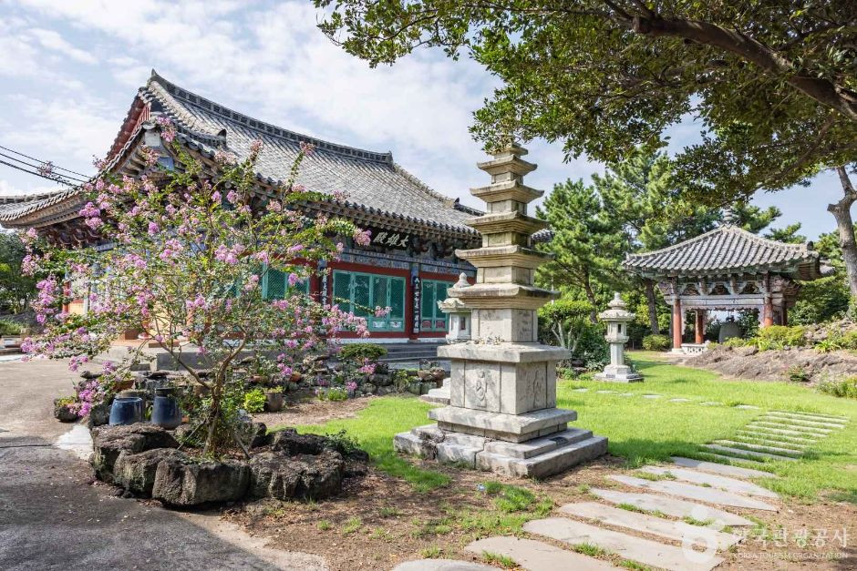 금룡사(제주) 여행 추천 - 로드트립