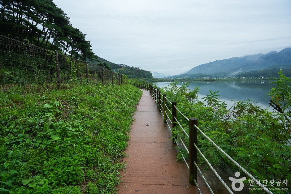 청천호 둘레길 여행 추천 - 로드트립