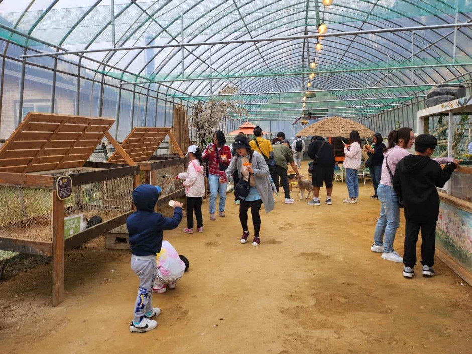 대관령 주주파크 여행 추천 - 로드트립