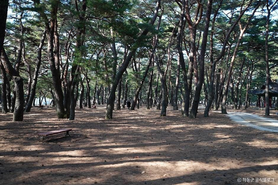 하동송림공원 여행 추천 - 로드트립