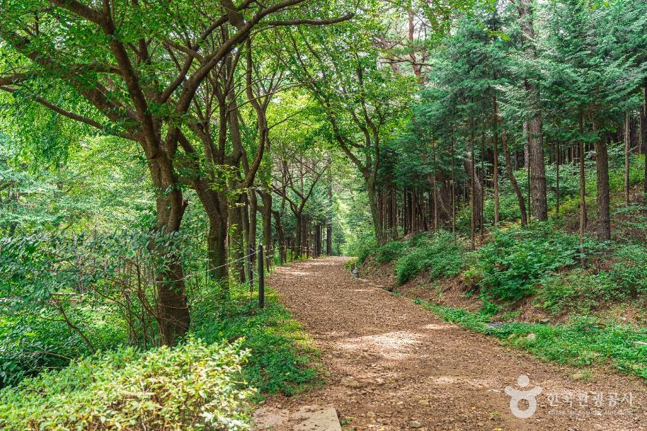 문수산산림욕장 여행 추천 - 로드트립