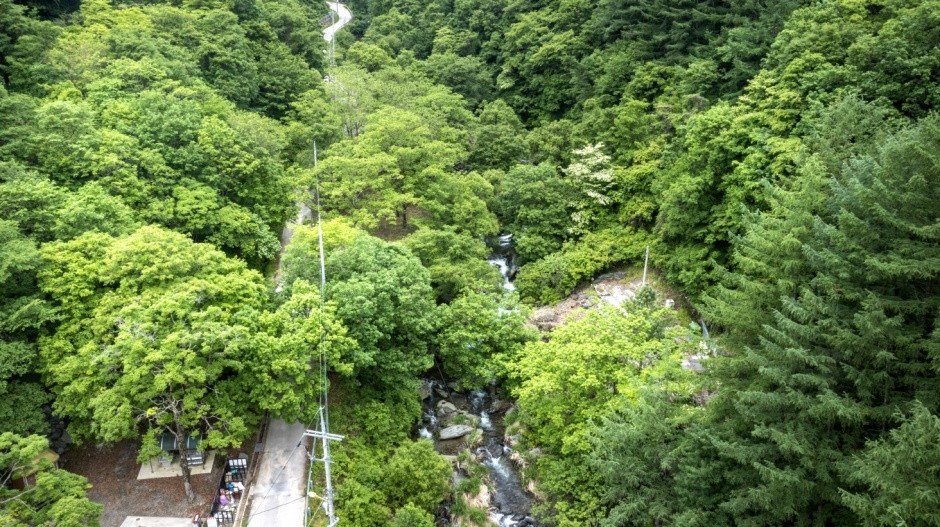 막동계곡 여행 추천 - 로드트립