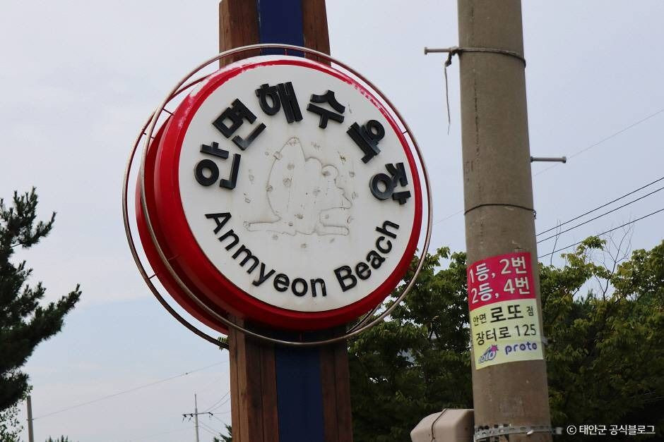 안면해수욕장 여행 추천 - 로드트립