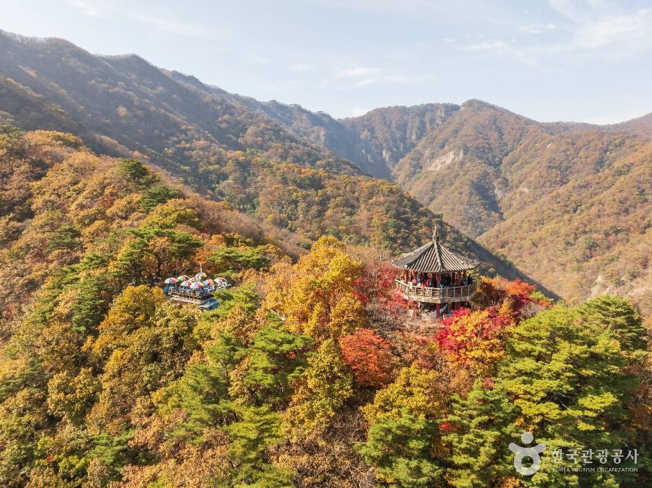 내장산국립공원 여행 추천 - 로드트립