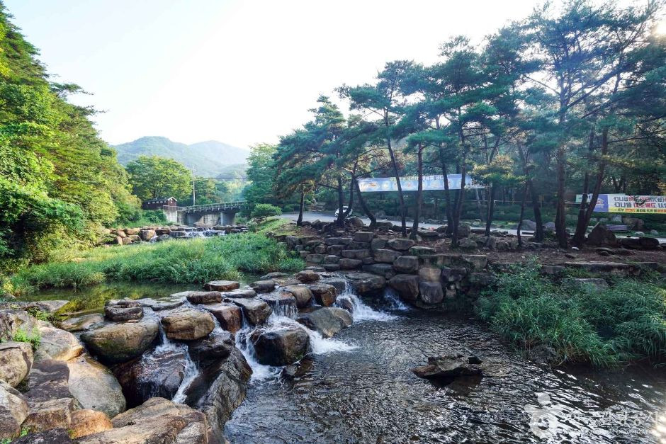 옥천계곡 여행 추천 - 로드트립