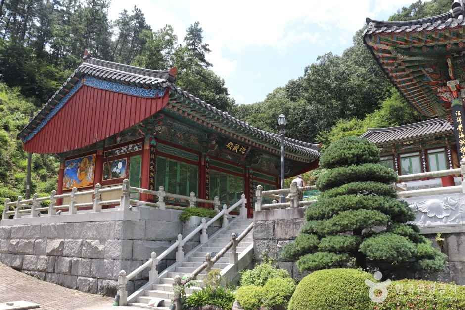 학림사(세종) 여행 추천 - 로드트립