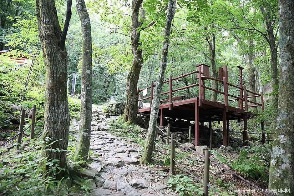 지리산국립공원(함양) 여행 추천 - 로드트립