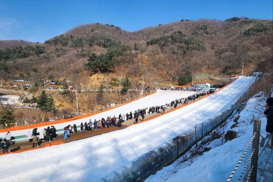 장흥자연휴양림 여행 추천 - 로드트립
