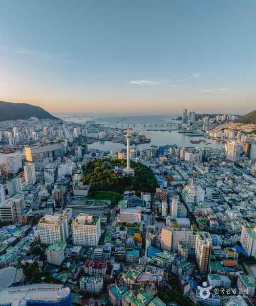 부산타워 여행 추천 - 로드트립