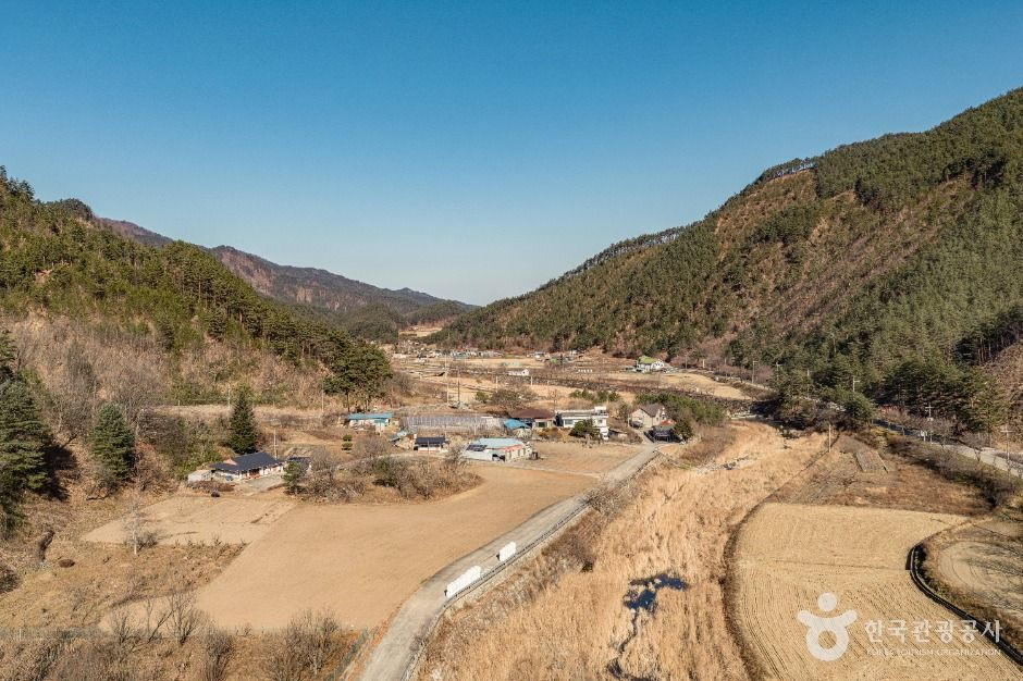 삼척 가시오가피마을 여행 추천 - 로드트립