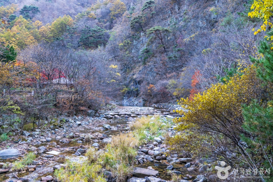 남천계곡 여행 추천 - 로드트립