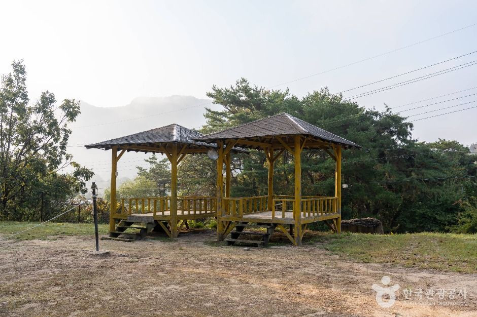 제천 산야초마을 여행 추천 - 로드트립