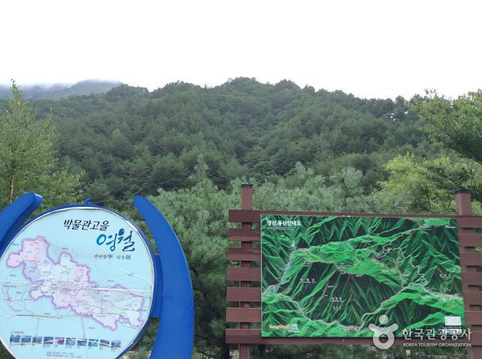 장산(영월) 여행 추천 - 로드트립