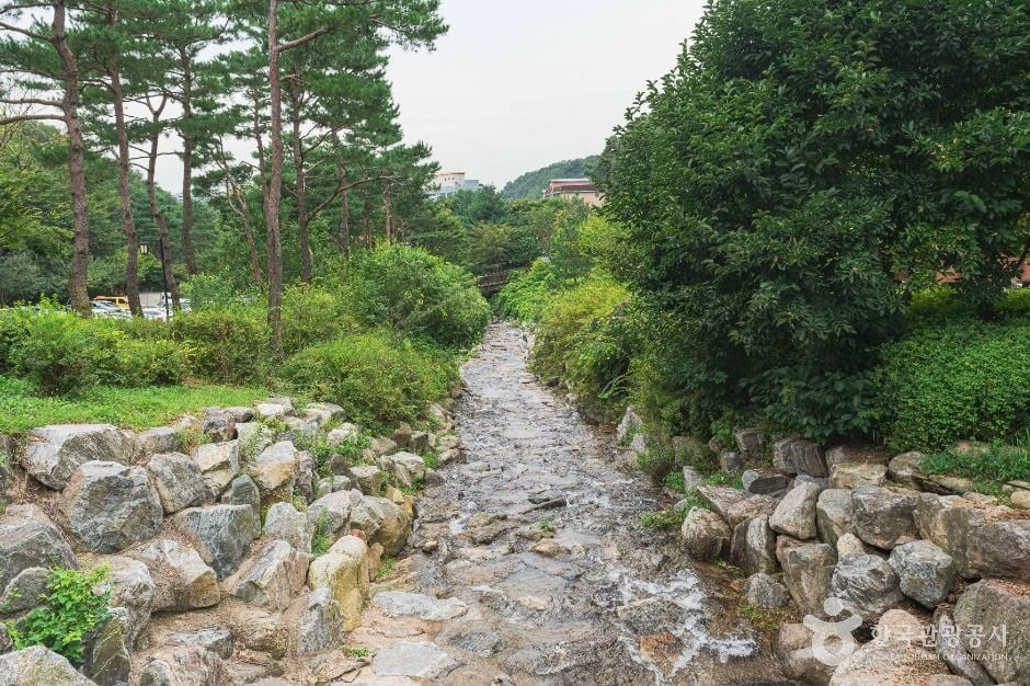 사기막골근린공원 여행 추천 - 로드트립