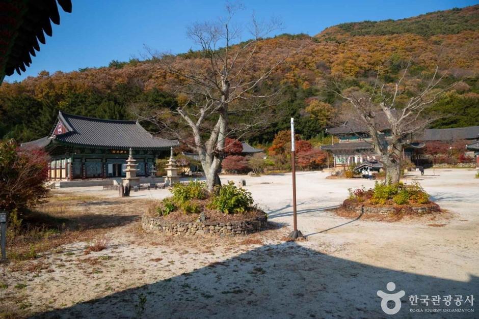보림사(장흥) 여행 추천 - 로드트립