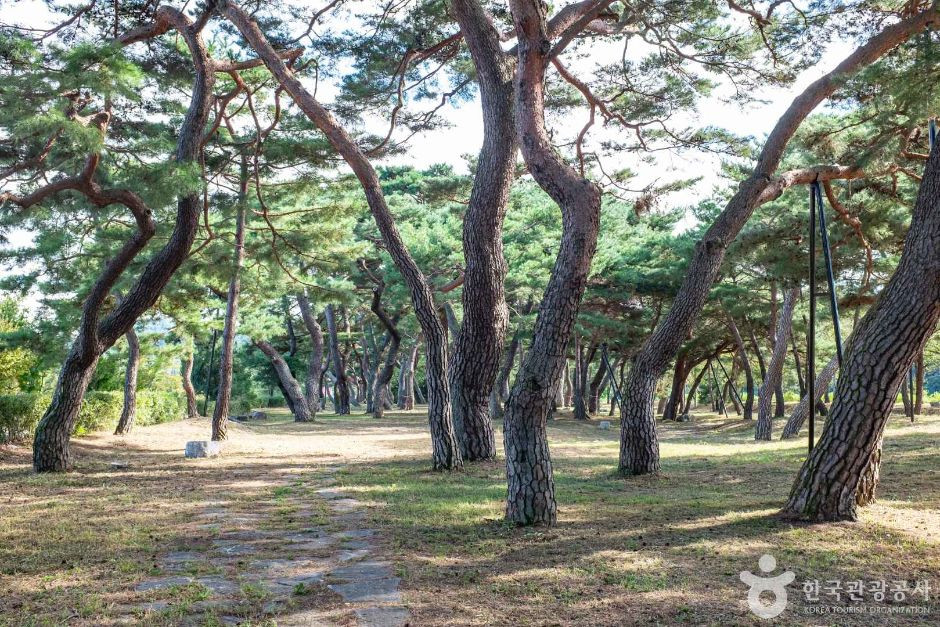 백운정 여행 추천 - 로드트립