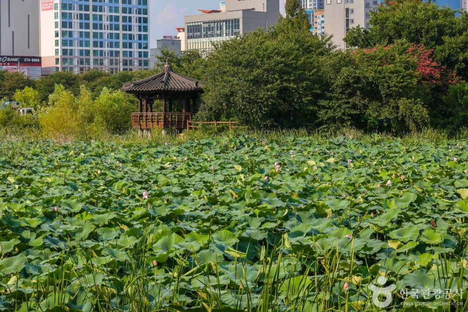운천저수지 여행 추천 - 로드트립