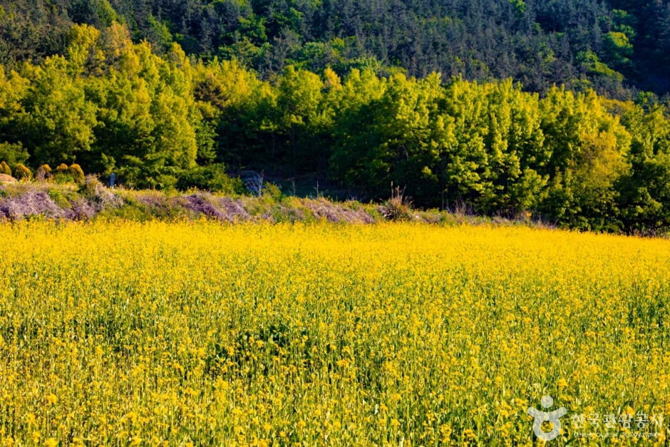 선학동 마을 여행 추천 - 로드트립