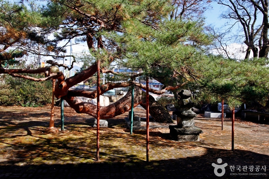 충주 단호사 삼층석탑 여행 추천 - 로드트립