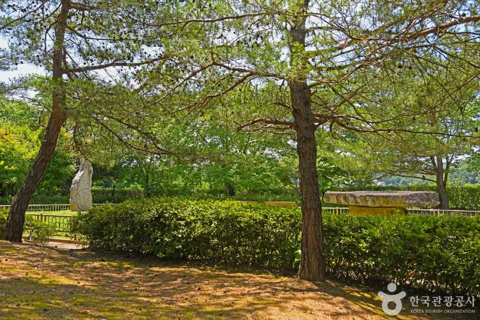 안터선사공원 여행 추천 - 로드트립