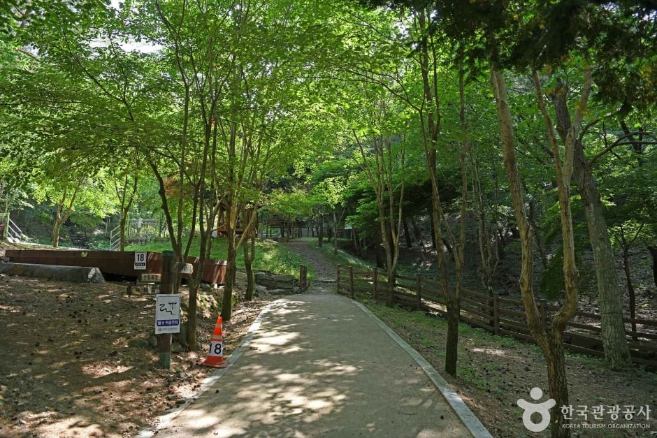 만수산자연휴양림 여행 추천 - 로드트립