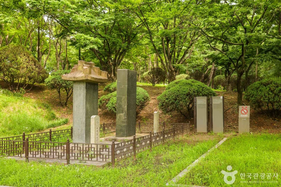 대구부수성비 여행 추천 - 로드트립