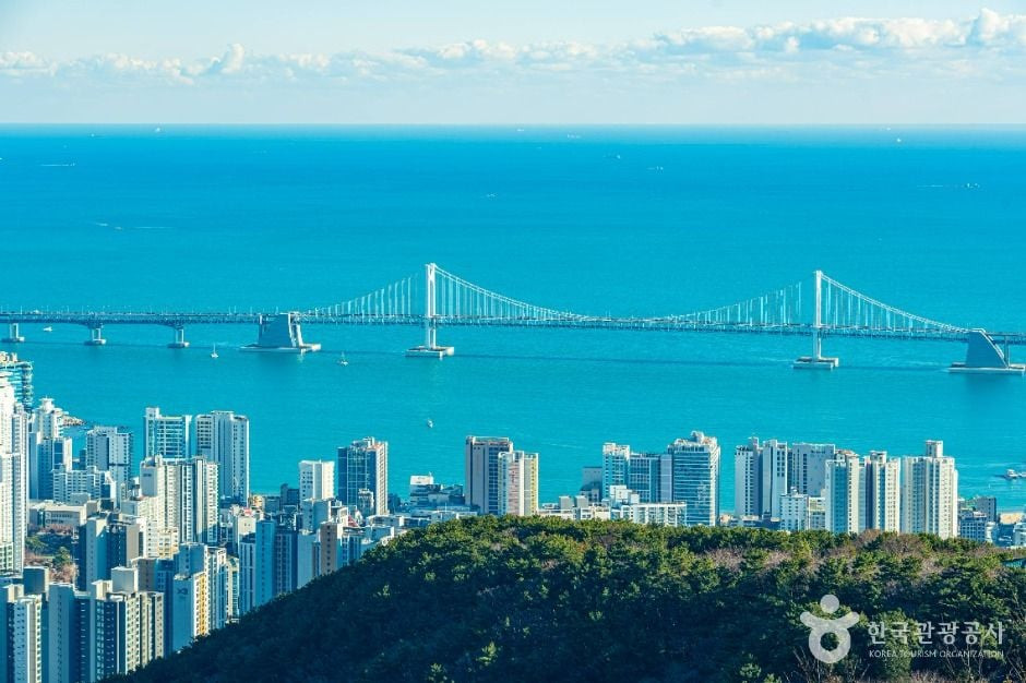 금련산 여행 추천 - 로드트립