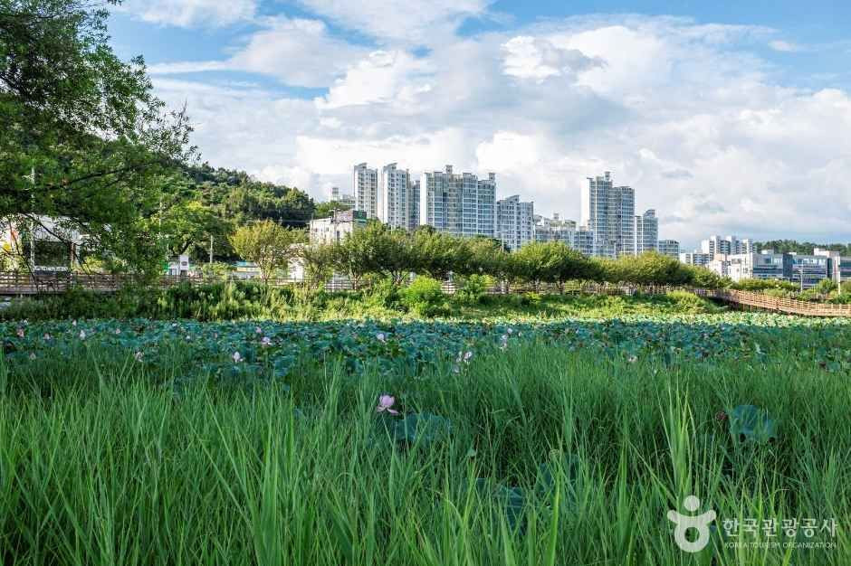문성지 여행 추천 - 로드트립
