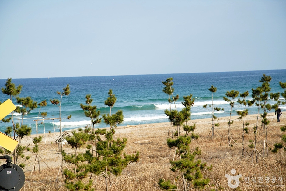 도직해변 여행 추천 - 로드트립