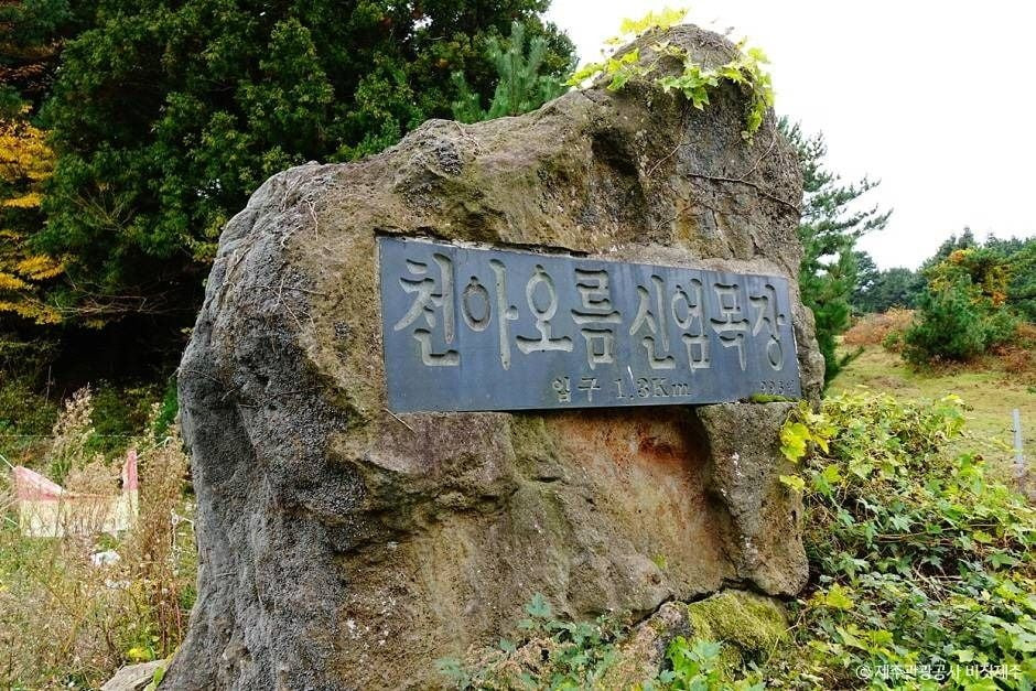 천아오름 여행 추천 - 로드트립