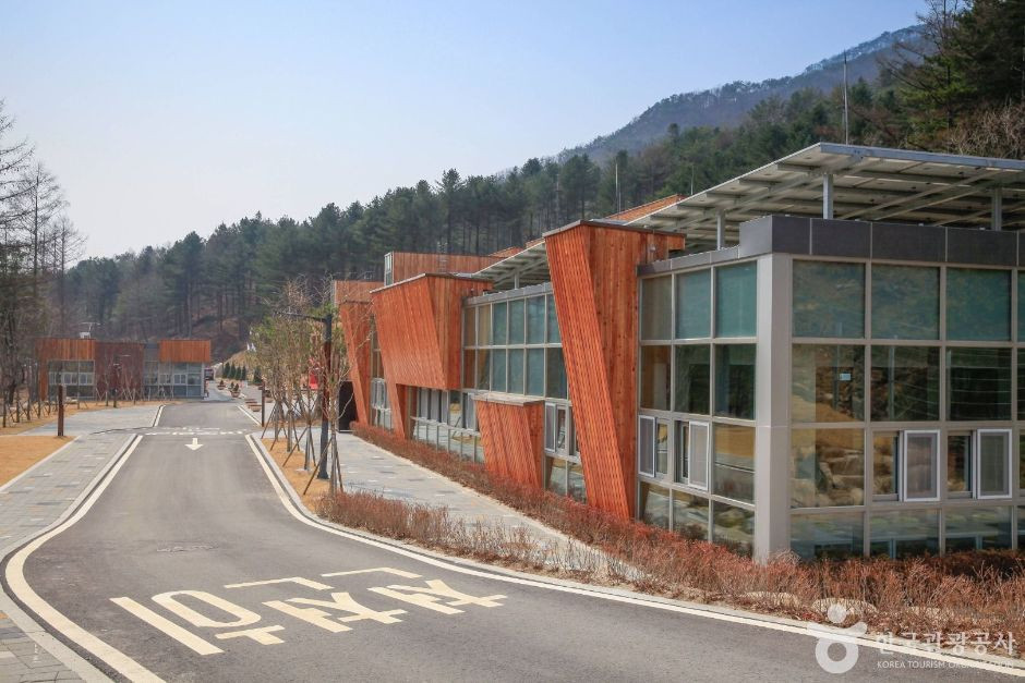 국립춘천숲체원 여행 추천 - 로드트립
