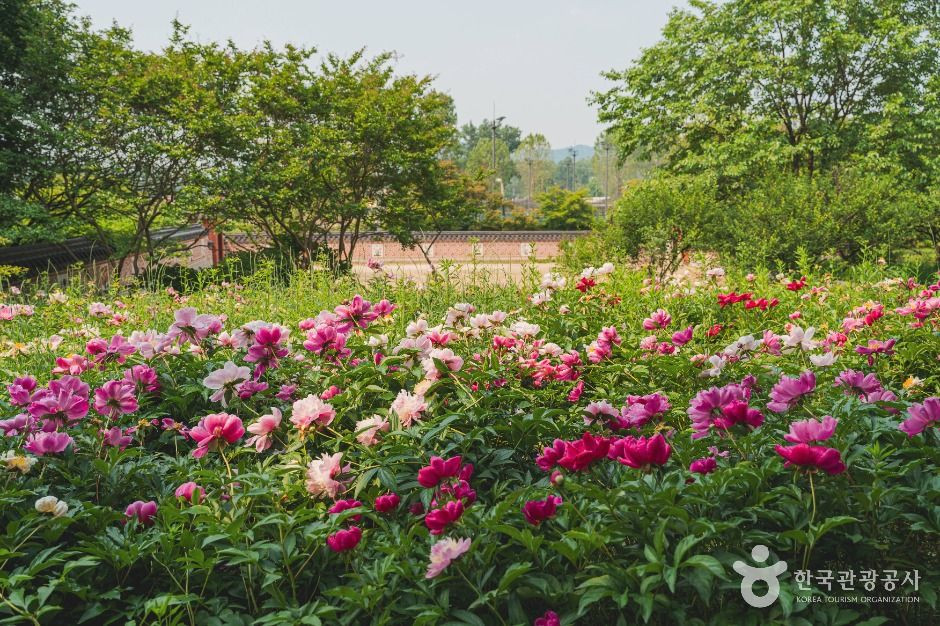 국립중앙박물관 전통염료식물원 여행 추천 - 로드트립