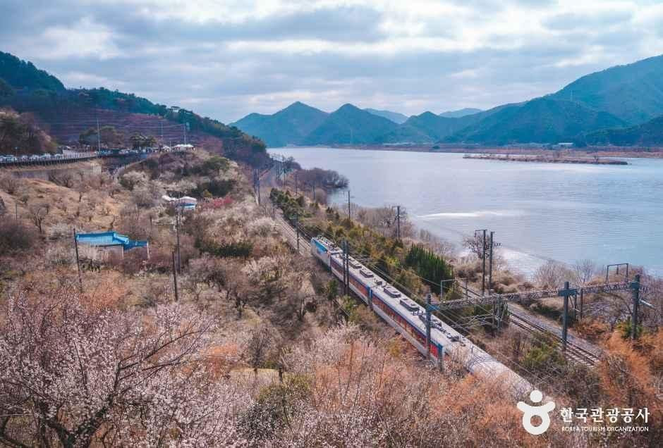 순매원 여행 추천 - 로드트립