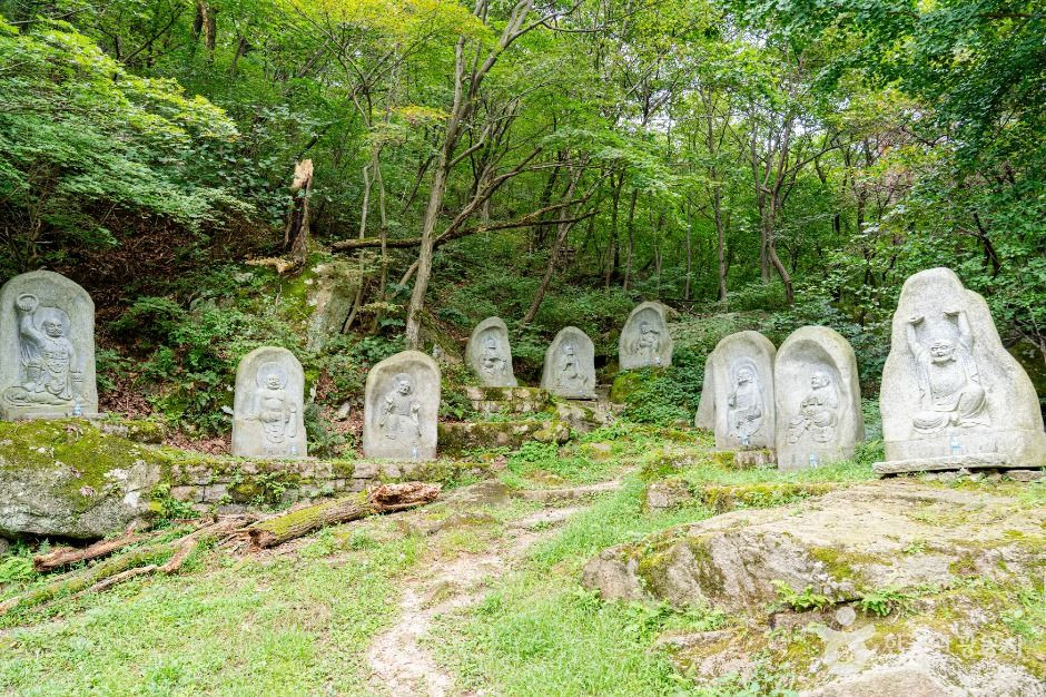 도선사(서울) 여행 추천 - 로드트립