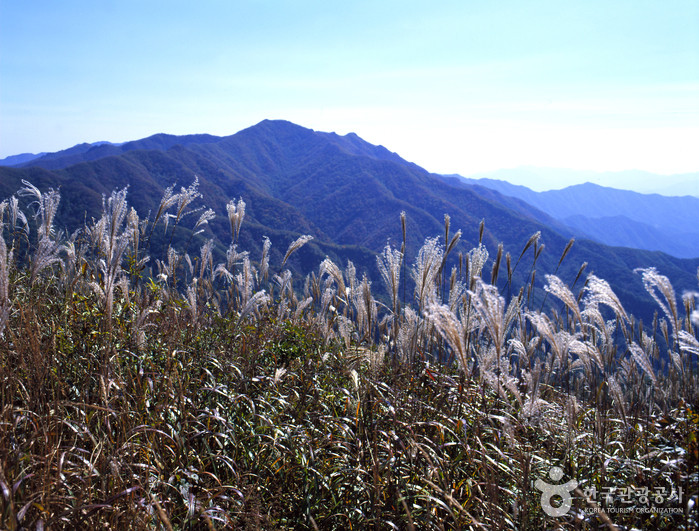 장안산군립공원 여행 추천 - 로드트립