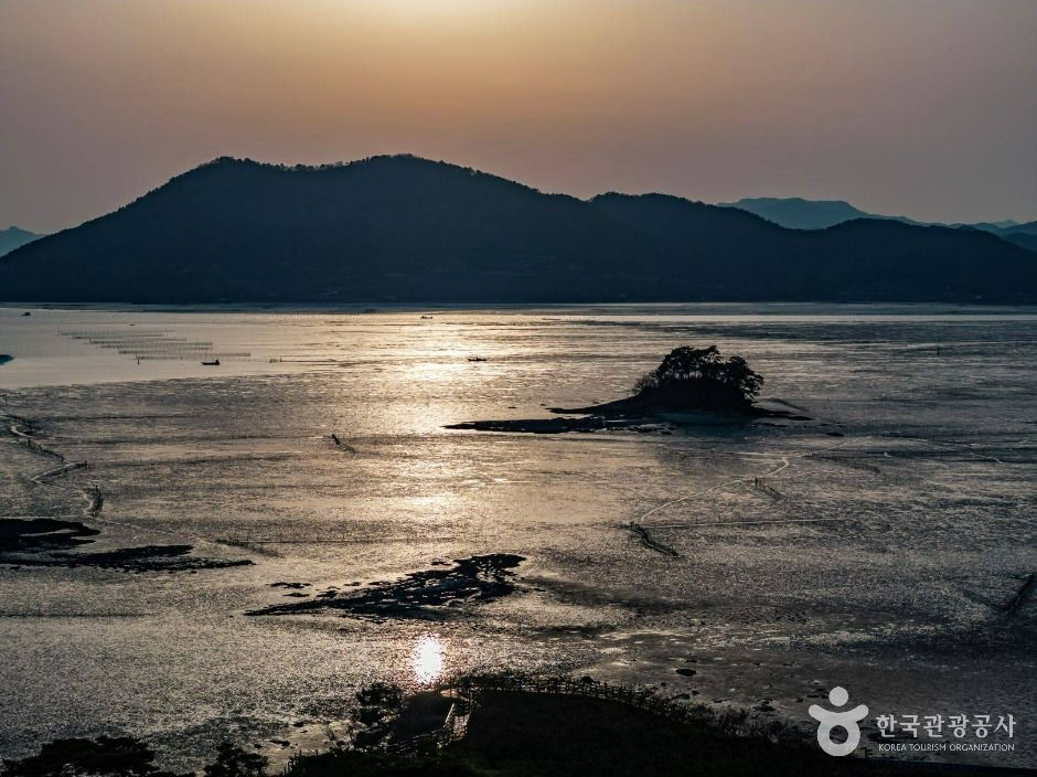 와온해변 여행 추천 - 로드트립