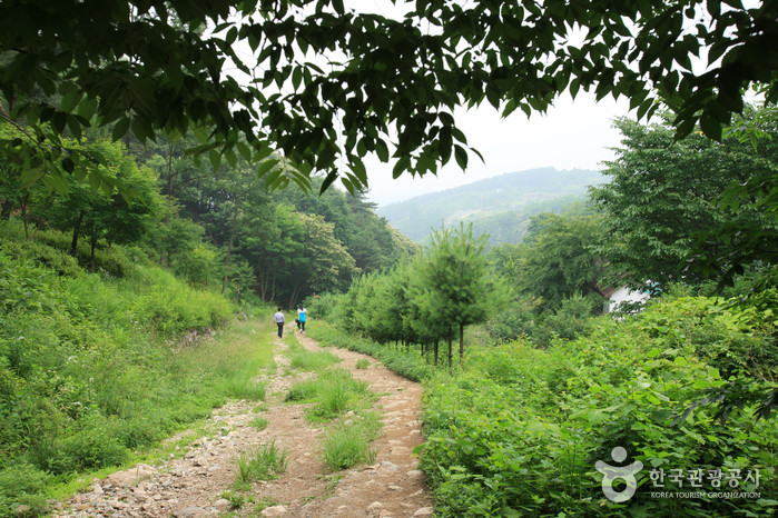 용문산 여행 추천 - 로드트립