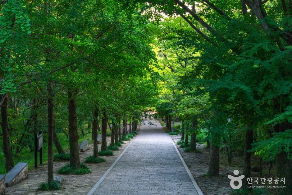부석사 [유네스코 세계유산] 여행 추천 - 로드트립