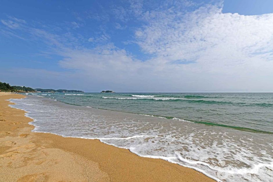잔교리해변 여행 추천 - 로드트립