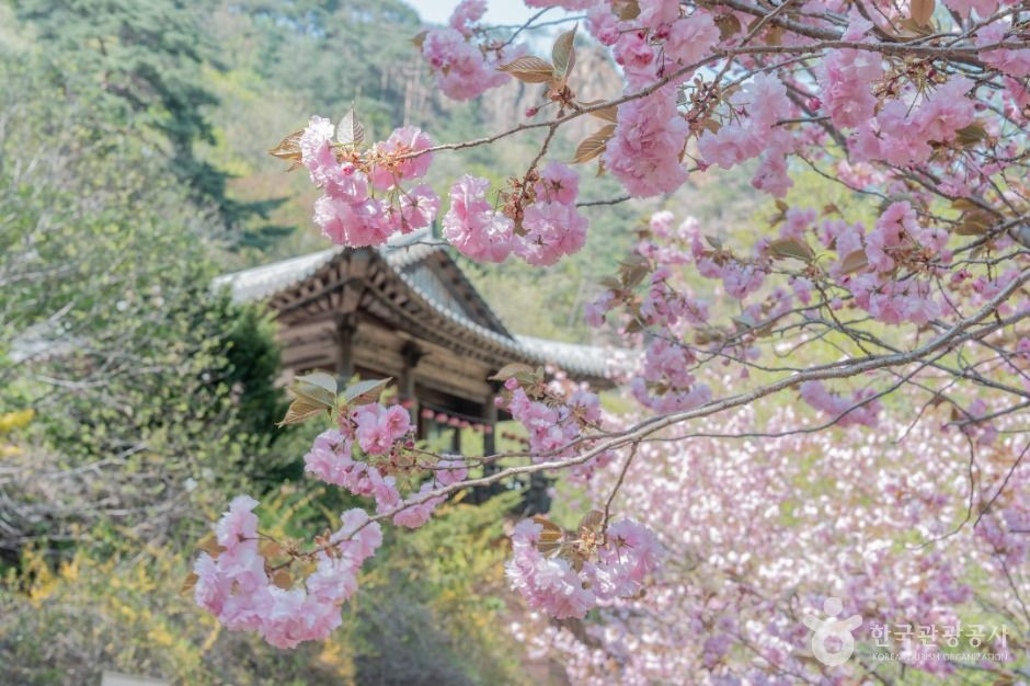 설악산국립공원(남설악) 여행 추천 - 로드트립