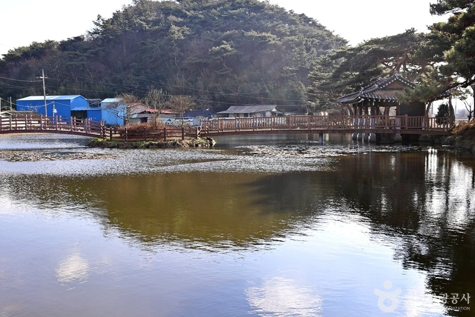 원곡제 여행 추천 - 로드트립