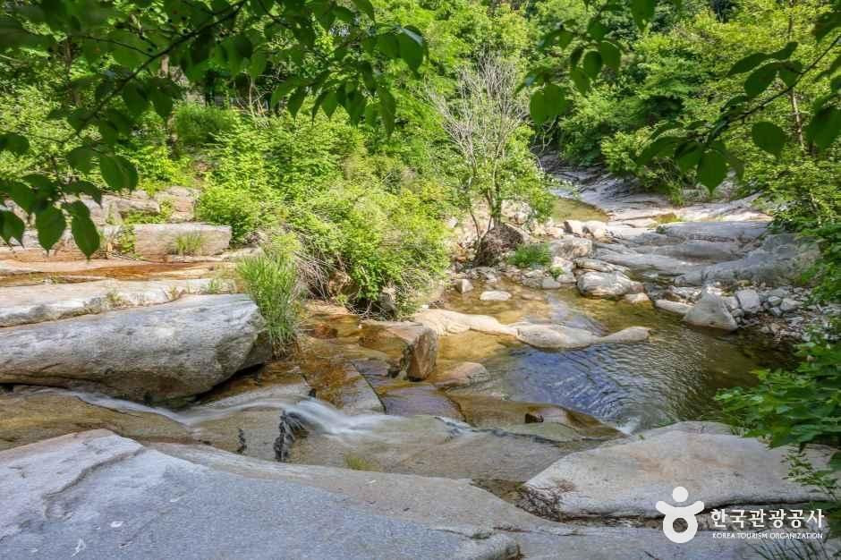 동산계곡 여행 추천 - 로드트립