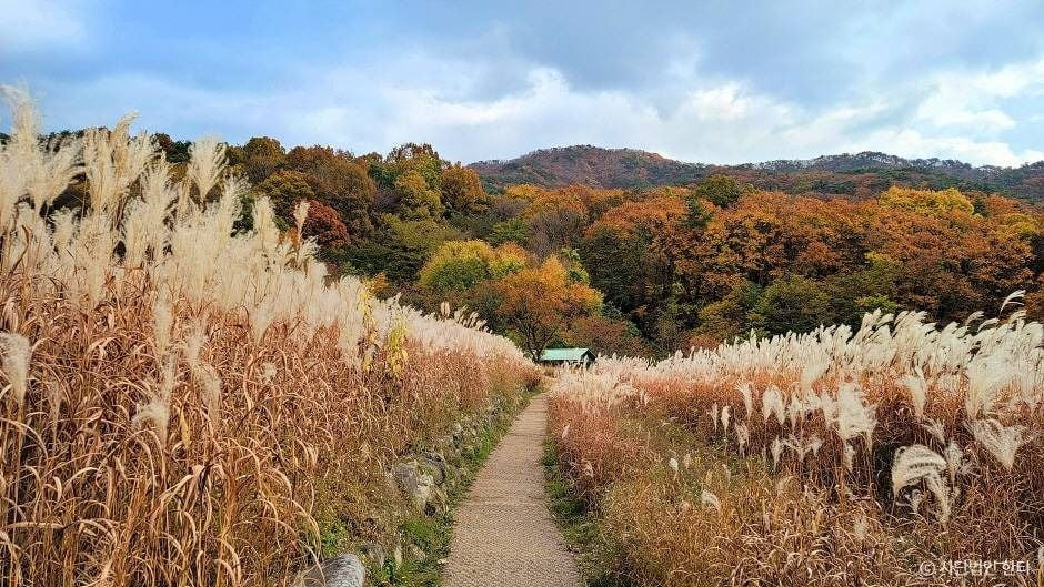 한티 순교성지 여행 추천 - 로드트립