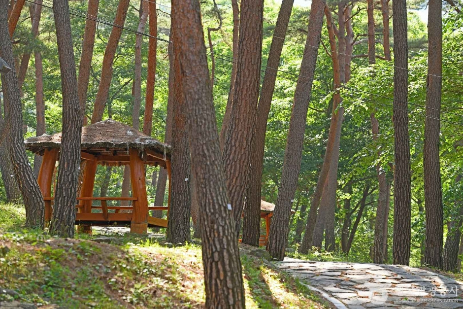 만수산자연휴양림 여행 추천 - 로드트립
