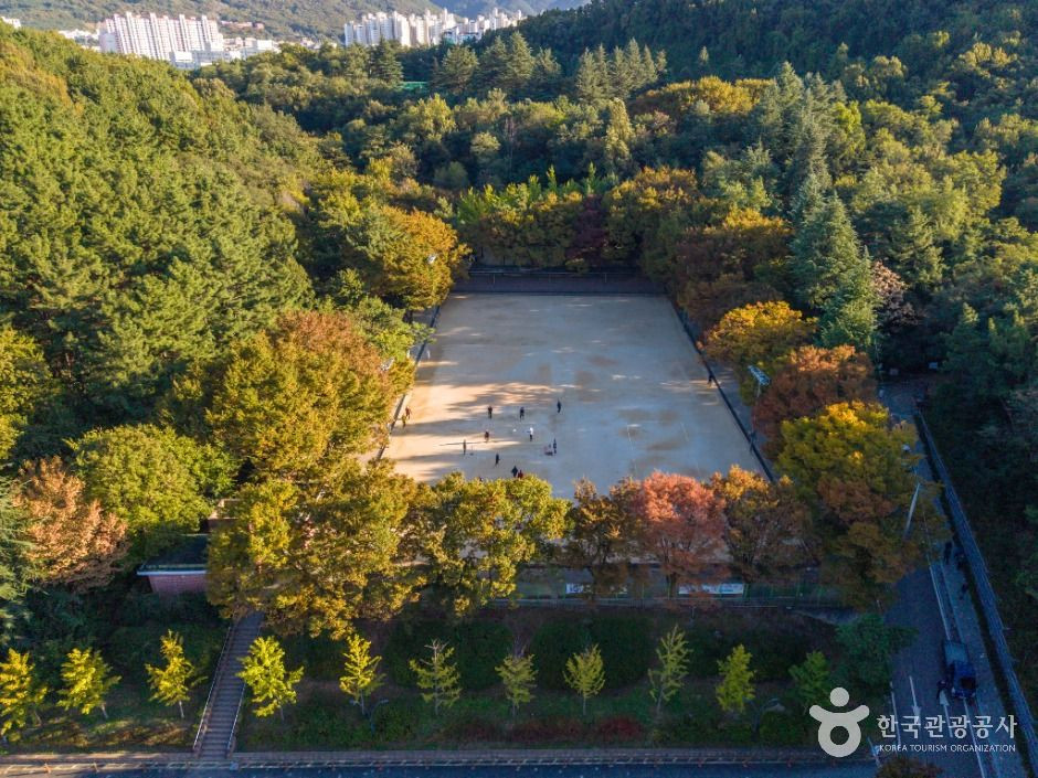 학산공원 여행 추천 - 로드트립