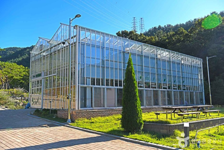보은산V랜드 여행 추천 - 로드트립