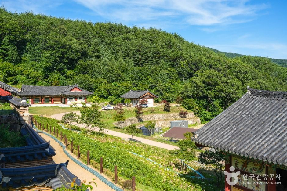 용문사(예천) 여행 추천 - 로드트립
