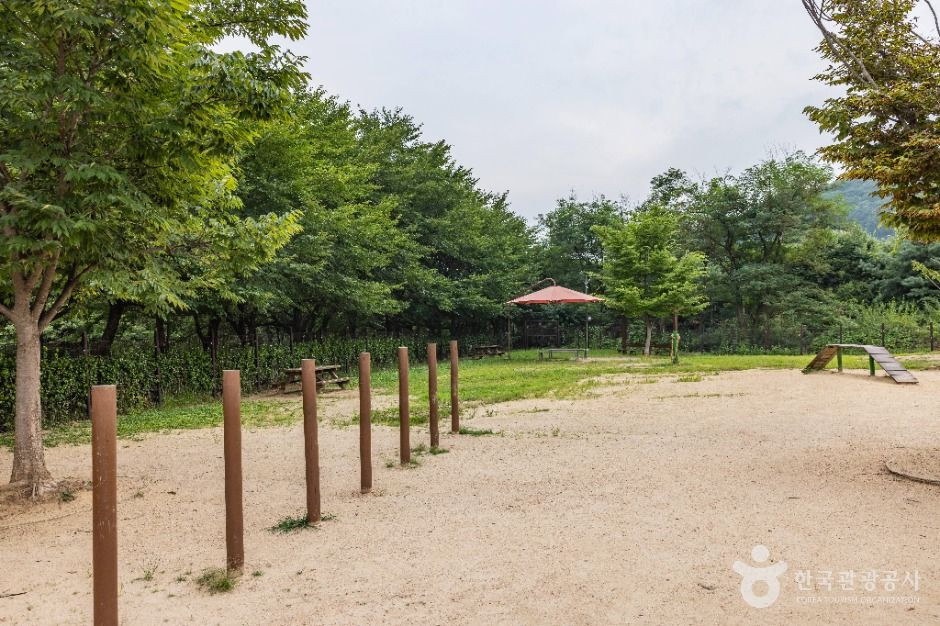 인천대공원 반려동물 놀이터 여행 추천 - 로드트립