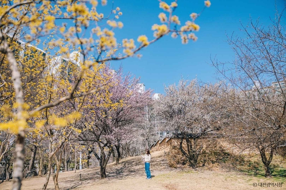 대전 회덕 동춘당 여행 추천 - 로드트립